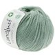 Lana Grossa LANDLUST MERINO 120 (GOTS & ICEA) | 136-zilvergroen