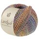 Lana Grossa LANDLUST DIE SOCKENWOLLE PRINT | 220-groen/donker rood/blauw/geel/licht blauw/pruim/oranje gemêleerd