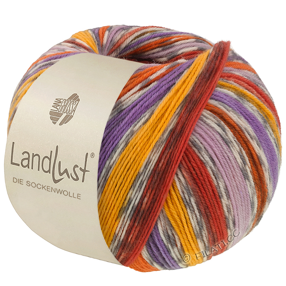 LANDLUST DIE SOCKENWOLLE van Lana Grossa