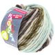 Lana Grossa LEI Moulinè/Color Mix/Spray (Ragazza) | 162-ruwe witte/grijs bruin/antraciet