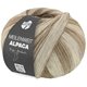 Lana Grossa MEILENWEIT 100g Alpaca Mix | 2305-