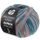 Lana Grossa MEILENWEIT 100g Alpaca Poncho | 2722-
