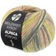 Lana Grossa MEILENWEIT 100g Alpaca Poncho | 2724-