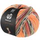 Lana Grossa MEILENWEIT 100g Cashmere Pista | 141-oranje/licht grijs/donker grijs/bruinoranje/licht groen/heide/braam/grijs bruin gestreept