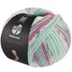 Lana Grossa MEILENWEIT 100g Cashmere Pista | 142-munt/turkoois/wit/grijs/licht blauw/foksia gestreept