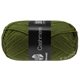 Lana Grossa MEILENWEIT 50g Cashmere | 77-mosgroen