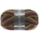 Lana Grossa MEILENWEIT 100g Chalet | 5213-