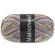 Lana Grossa MEILENWEIT 100g Piccata | 4811-grijs groen/ecru/jeans/shiner blauw/karamel/braam/middelen grijs