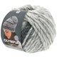 Lana Grossa OLYMPIA Denim | 252-wit/grijs gemêleerd/middelen grijs/donker grijs