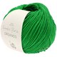Lana Grossa ORGANICO (Linea Pura) | 163-grasgroen