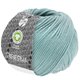 Lana Grossa RISERVA (GOTS) | 06-munt