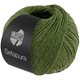 Lana Grossa SETAPURA | 18-avocado groen