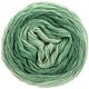 Lana Grossa SLOW WOOL LINO Dégradé | 203-pastelgroen/grijs groen/patinagroen