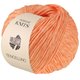 Lana Grossa TENCELLINO | 14-zalmoranje