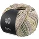 Lana Grossa TORTO | 01-room/licht grijs/licht groen/donker groen
