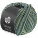 Lana Grossa VINTAGE SOCKS Multi | 1052-limegroen/grijs groen/olijf groen/petrol groen/resedagroen