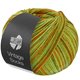 Lana Grossa VINTAGE SOCKS Multi | 1054-lente groen/jade/mosterd/olijf/oker