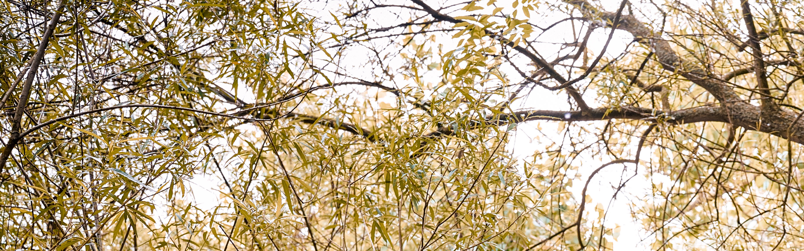 HOOGWAARDIG & CREATIEF BREIDESIGN Brei-/haakpakketten<br>DAMES