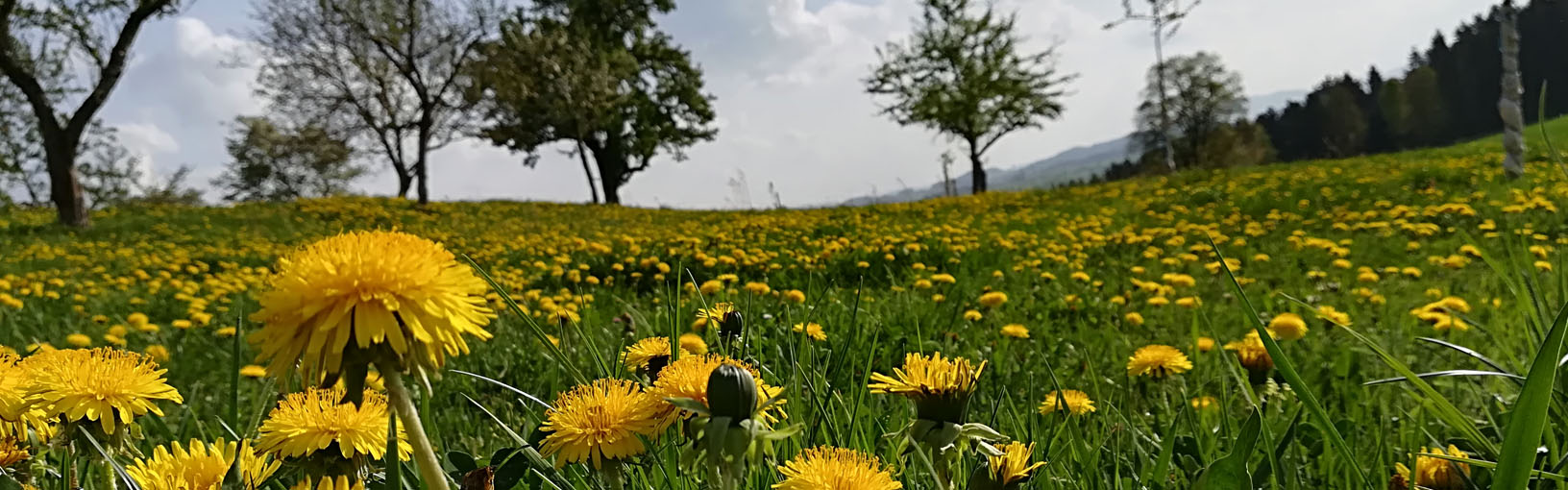 HOOGWAARDIG & CREATIEF BREIDESIGN Brei-/haakpakketten<br>DAMES