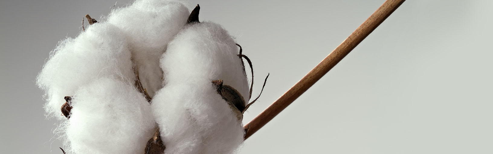 HOOGWAARDIG & CREATIEF BREIDESIGN Brei-/haakpakketten<br>